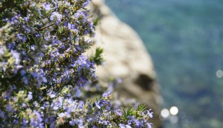 Stobreč – A Quiet Coastal Escape Next to Split